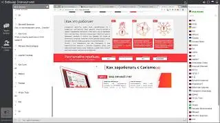 Обзор проектов Carismo&nbsp;и Bitpetite от OneWayInvest
