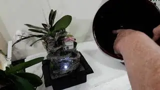 How to Create Humidity for Moisture Loving Orchids