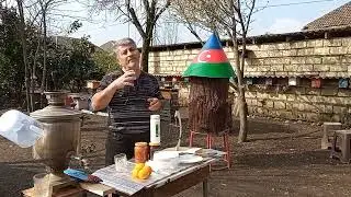 Martda arıları  probiotiklərlə yemlənməsi. Vetomlu şərbət.