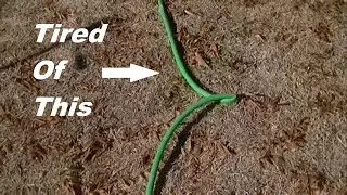 The Best Garden Hose for Any Use