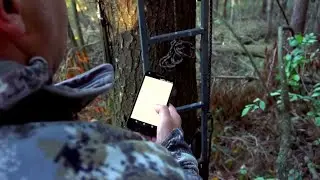 Best Bow Season Opening Day Strategy