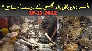 BufferZone Fish Rates Today | بفر زون مچھلی کے ریٹ #fishprices #bufferzone