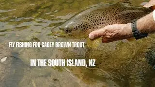 Fly Fishing for Cagey Brown Trout in the South Island, NZ