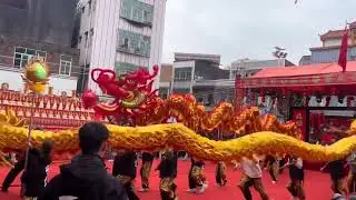 潮汕传统庙会舞龙 | Chinese Dragon Dance at Chaoshan Temple Fair#非物质文化遗产 #非遗文化传承 #trendingvideo #民族風 #潮汕舞龙#舞龙