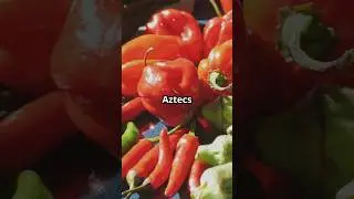 Aztec Eats: Ancient Flavours in 60 Seconds! #aztec #history #culinary #culinaryadventure #foodie