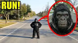 If you ever see the Gorilla Man, RUN AWAY & HIDE  FAST! (He is CURSED!!)