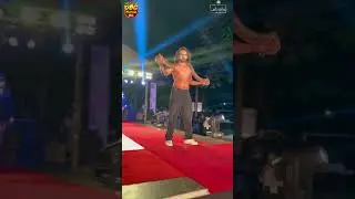 Sri Lanka Dog Festival - Pet Show | CMA #cma