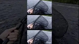 🏴󠁧󠁢󠁳󠁣󠁴󠁿 #1 of Frank's Dochfour double #fishing #atlanticsalmon #riverness