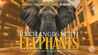 Bible Hour | 8. The Equipping | Pr Rob Walsh | 25 Jan | Sunday AM