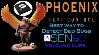 Best way to detect Bed Bugs in a Vacant Home  | Sensci Volcano Lures