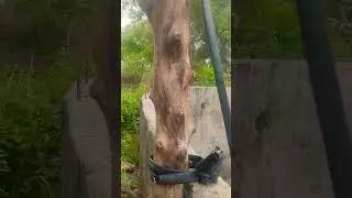 Three Phase Motor Ko Single Phase Mein Jugaad Se Chalu Karo 🔥 | बिना VFD मोटर चालू करो !