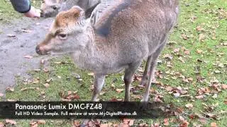 Panasonic Lumix DMC-FZ48 Full HD Video Sample