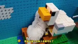 The little hamster's big adventure ball pool maze trap is coming. Can the hamster