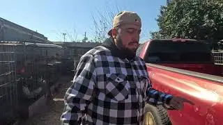 El viejon pulgando los gallones para meterlos en decanso.