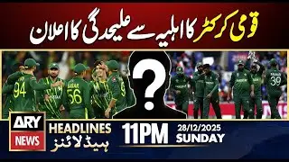 Pakistan Cricketer Announces Separation from Wife  | ARY News 11 PM Headlines | 28th Dec 2025