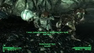Shocked Fallout 3 BOS Initiate Celebrates Crab Murder by Groovin'