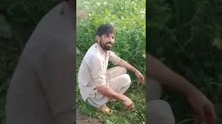 A Day in My Village Life | Daily Work Routine