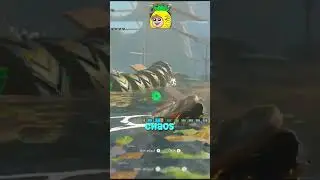 Wheely bad wheely quickly #tearsofthekingdom #legendofzelda #funny #zelda #gaming