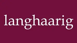 How to Pronounce ''langhaarig'' (long-haired) Correctly in German