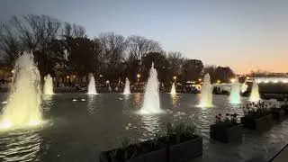 上野・国立博物館前噴水①2026/01/17