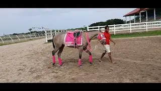 LIC PEDRO AGUIAR Y LA JEFA AGUIAR, S&Aacute;BADO, 21DE JUNIO 25.