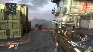 hounddoggyD - Black Ops II Game Clip