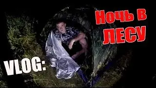 VLOG: НОЧЬ В ЛЕСУ В ПАЛАТКЕ !!!