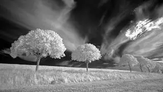 Aftermath - Christy Meyer
