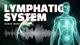 Lymphatic system 💧 Audio medicine | Bioresonance audio (BRT) | Audio healing