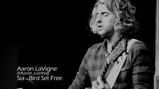 Sia - Bird Set Free (Cover) | Aaron LaVigne