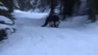zipflbob speed