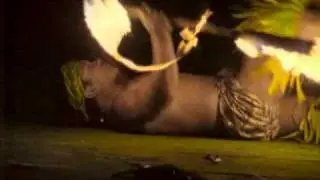 Polynesian Cultural Center Fire Knife Dancing