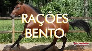 ARTSTUDIO PRODU&Ccedil;&Otilde;ES APRESENTA   RA&Ccedil;&Otilde;ES BENTO  Motion title5