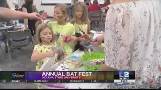 Bat Fest