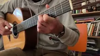 Mud Runner &bull; #fingerstyleguitar #guitarinstrumental #12stringguitar #guitarist