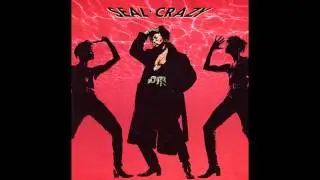 Seal - Crazy (Radio Edit) HQ