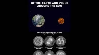 Polar Roses on Orbital Patterns of Planets