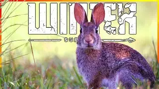 Heute gibt es Kaninchen! ❖ Winter Survival E07 [Let's Play Deutsch]