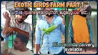 EXOTIC BIRDS FARM IN THANJAVUR |AT LOWER PRICE|தஞ்சாவூர்ல இப்டி ஒரு இடமா| EXOTIC SPECIES#exoticbirds