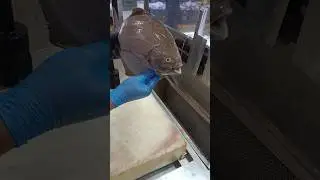 Black Pomfret Fish Cutting Slice | Clean Fillet Pieces | ASMR Seafood #SeafoodLovers #USA #American