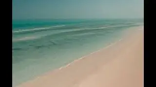 Al Wakrah Dog Beach #kittusamayal #beach #beachvibes #dogbeach #alwakrah #qatardoha