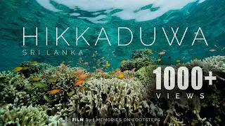 Hikkaduwa | Snorkeling | Sri Lanka