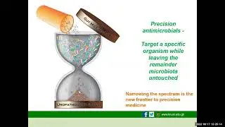 Advances in Antimicrobial Research and Development