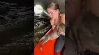 Daring Rescue from Flooded Tunnel: Woman Saves Baby from Predator! #Rescue #Dramatic #Heroic