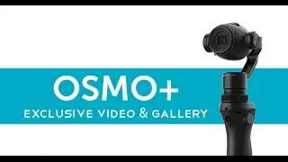 DJI OSMO+ Cinematic Footage | MSC Fantasia Cruise