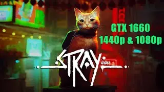 Stray benchmark GTX1660 at 1440p and 1080p