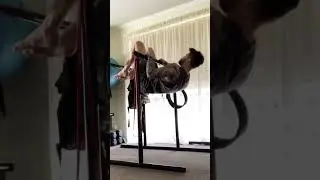 Advanced tuck front lever rows 💪