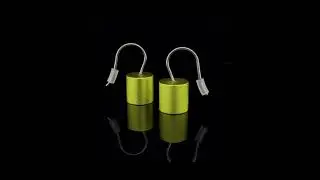 Fresh & funky lime coloured Roller hook earrings by Ursula Muller.