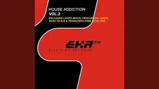 House Addiction Voice 128 (Tool 19)