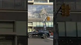 Rats shut down Midtown Toronto grocery store?!